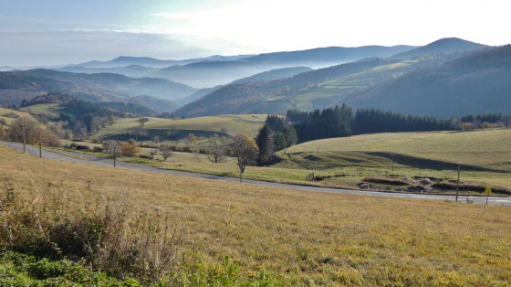 Panorama