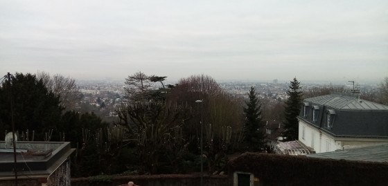 Panorama