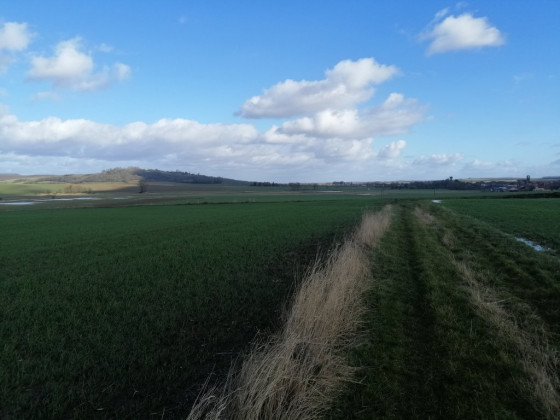panorama