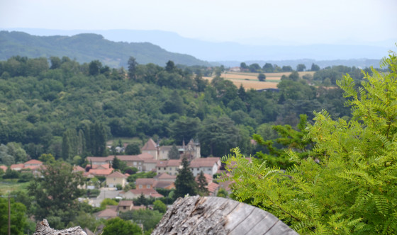Panorama