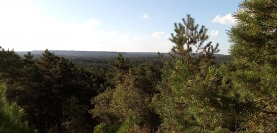 Panorama