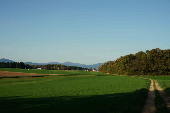 Panorama