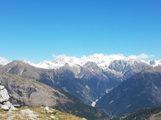 Panorama