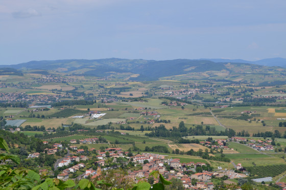 Panorama