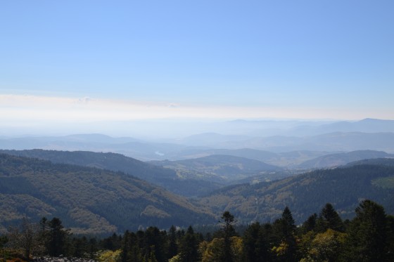 Panorama Panorama