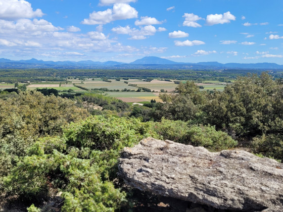 panorama
