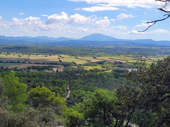 panorama