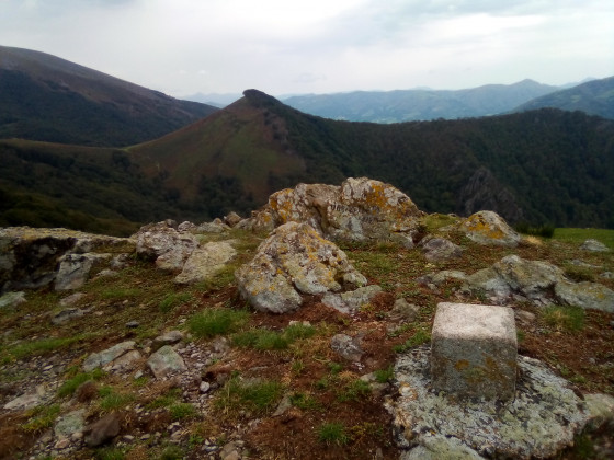 Panorama