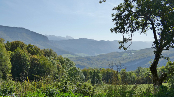 Panorama
