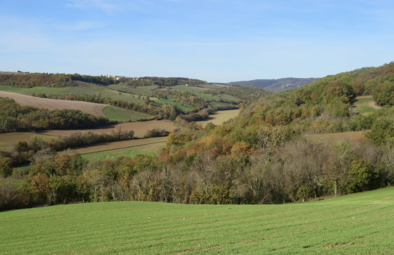 Panorama