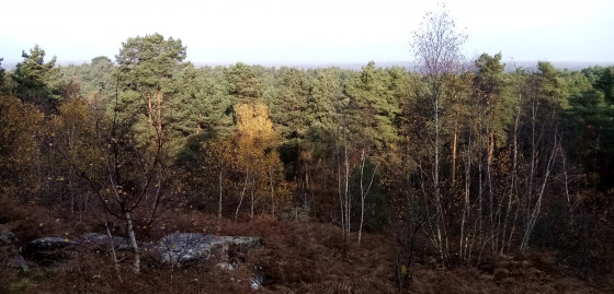Panorama