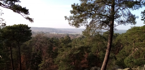 Panorama
