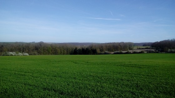 Panorama