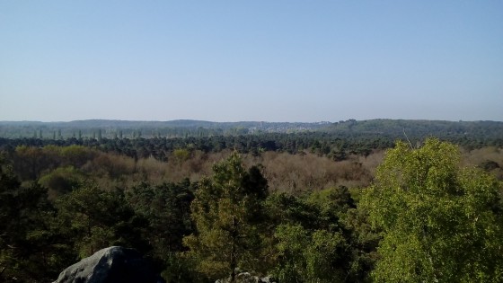 Panorama
