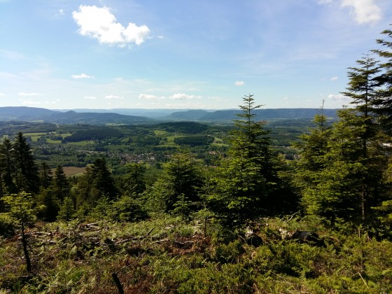 Panorama