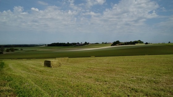 Panorama
