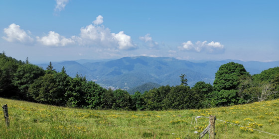 Panorama