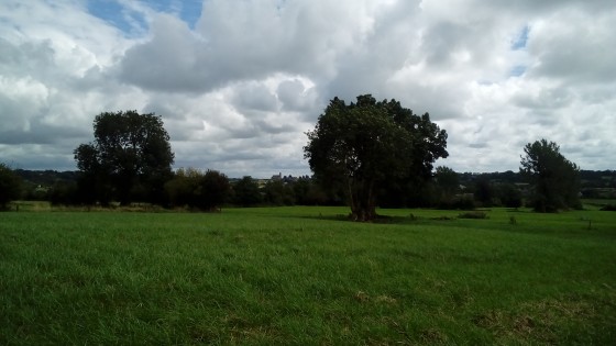 Panorama