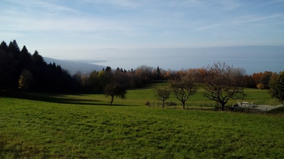 Panorama