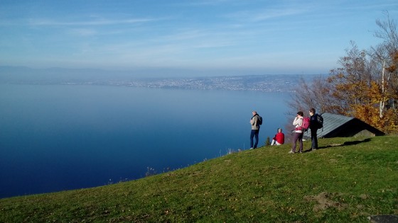 Panorama
