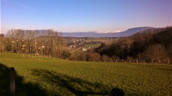 Panorama