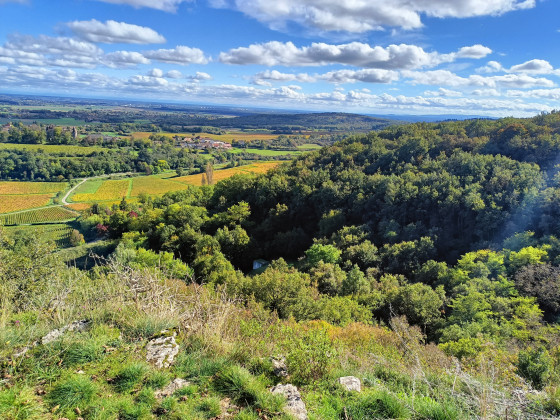 Panorama