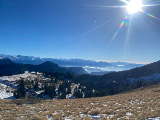 panorama