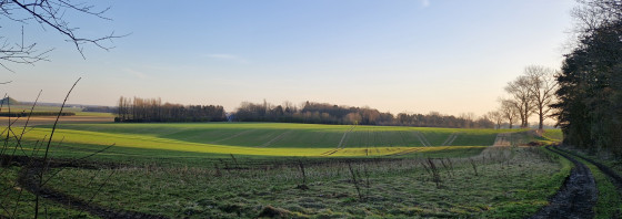Panorama