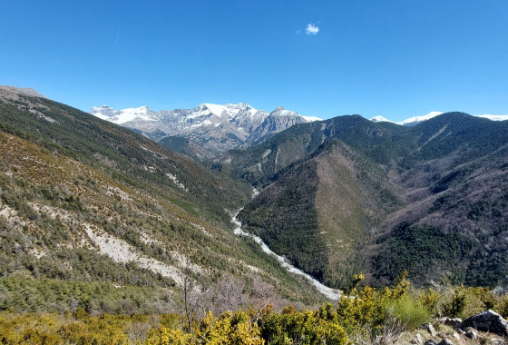 Panorama