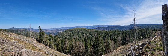 panorama