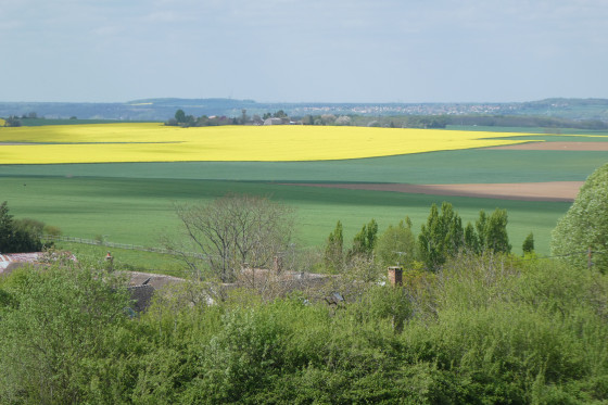 Panorama