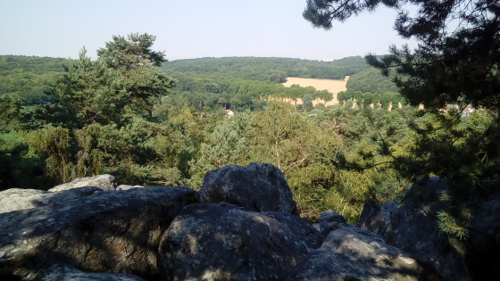 Panorama