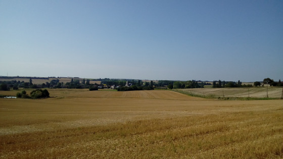 Panorama