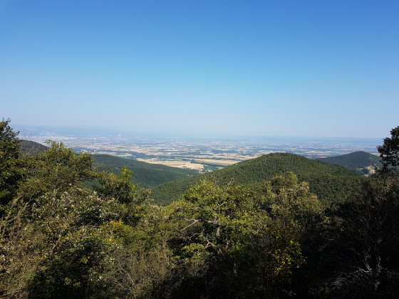 La vallée du Rhône