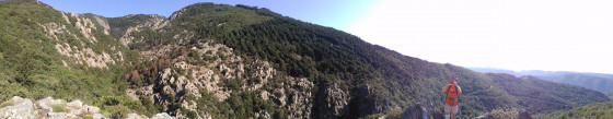 Panorama