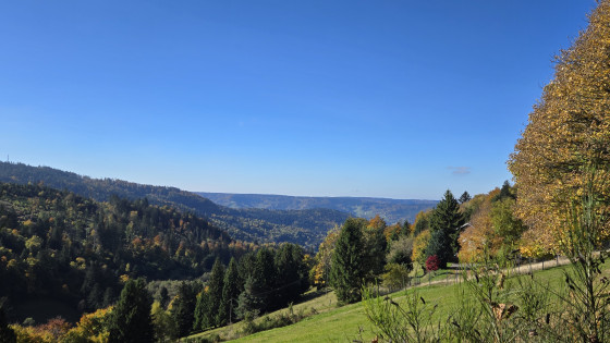 Panorama