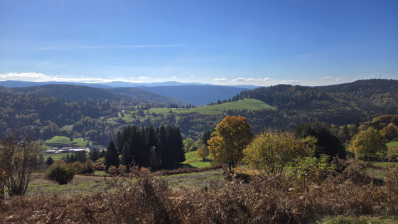 Panorama