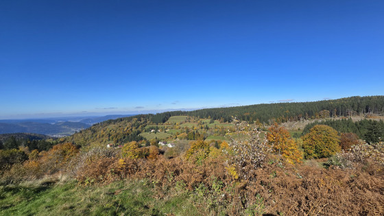 Panorama