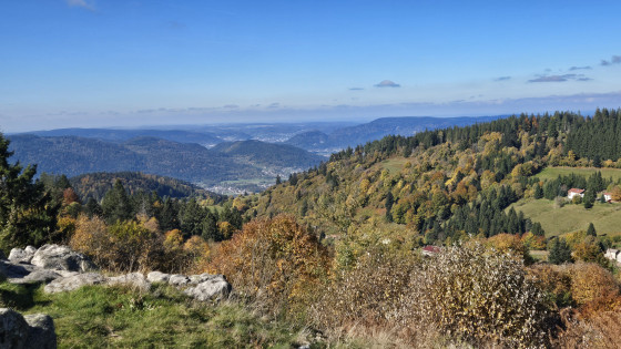 Panorama
