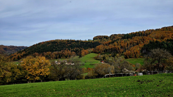 Panorama