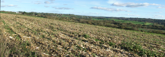 Panorama