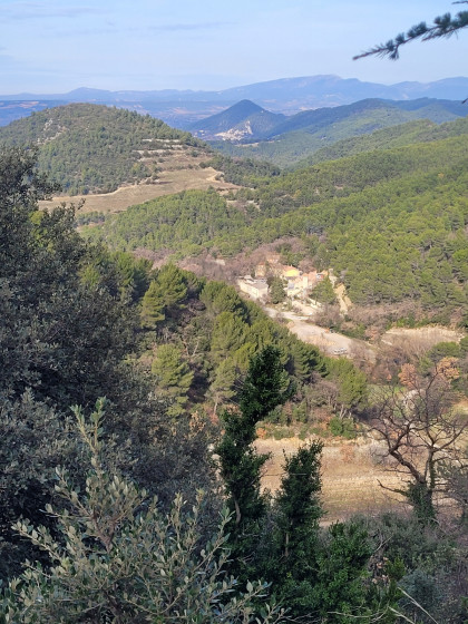 Panorama
