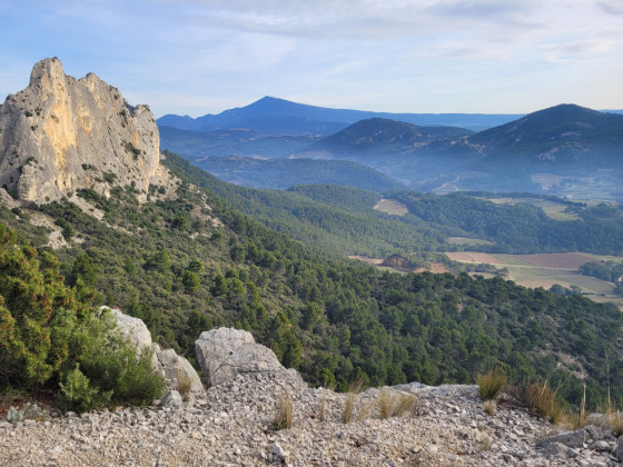 Panorama