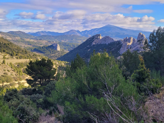 panorama