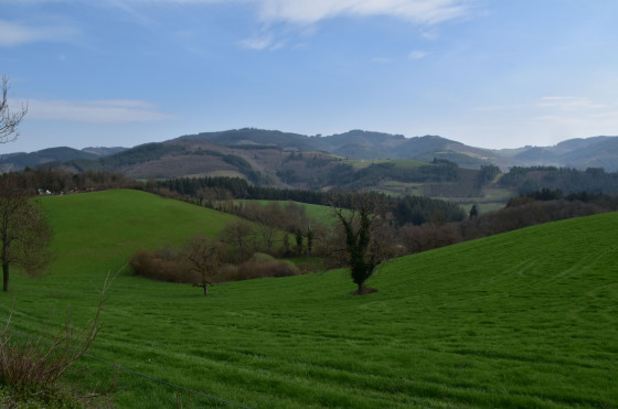panorama