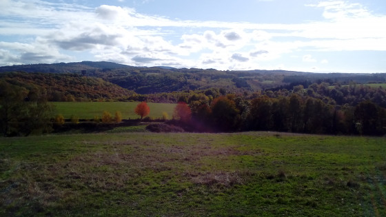 Panorama