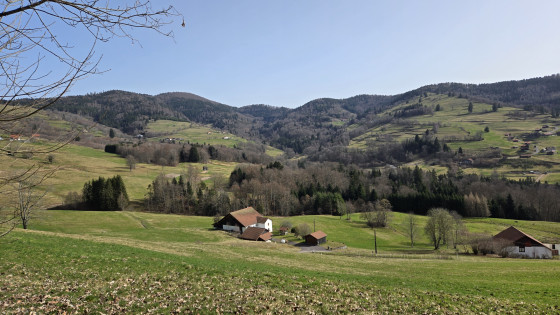 Collines de Berhamont