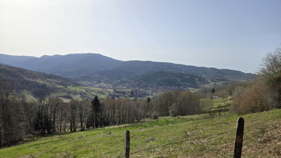 Collines de Berhamont