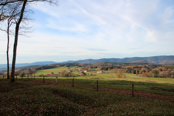 Panorama