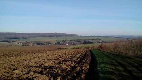 Panorama